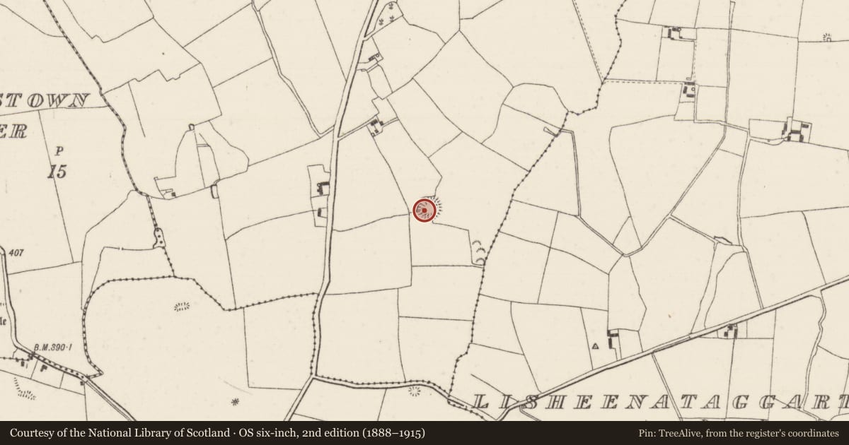 Ordnance Survey six-inch map, 2nd edition (1888–1915) covering the location of Ringfort - rath, Killahagan, County Tipperary North, with a pin at the register's coordinates