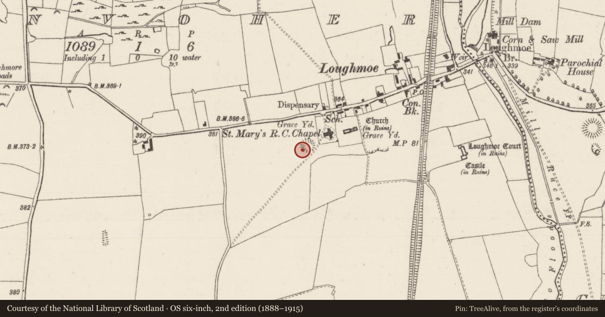 Ordnance Survey six-inch map, 2nd edition (1888–1915) covering the location of Castle - ringwork, Tinvoher, County Tipperary North, with a pin at the register's coordinates