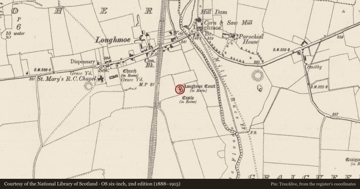 Ordnance Survey six-inch map, 2nd edition (1888–1915) covering the location of House - fortified house, Tinvoher, County Tipperary North, with a pin at the register's coordinates