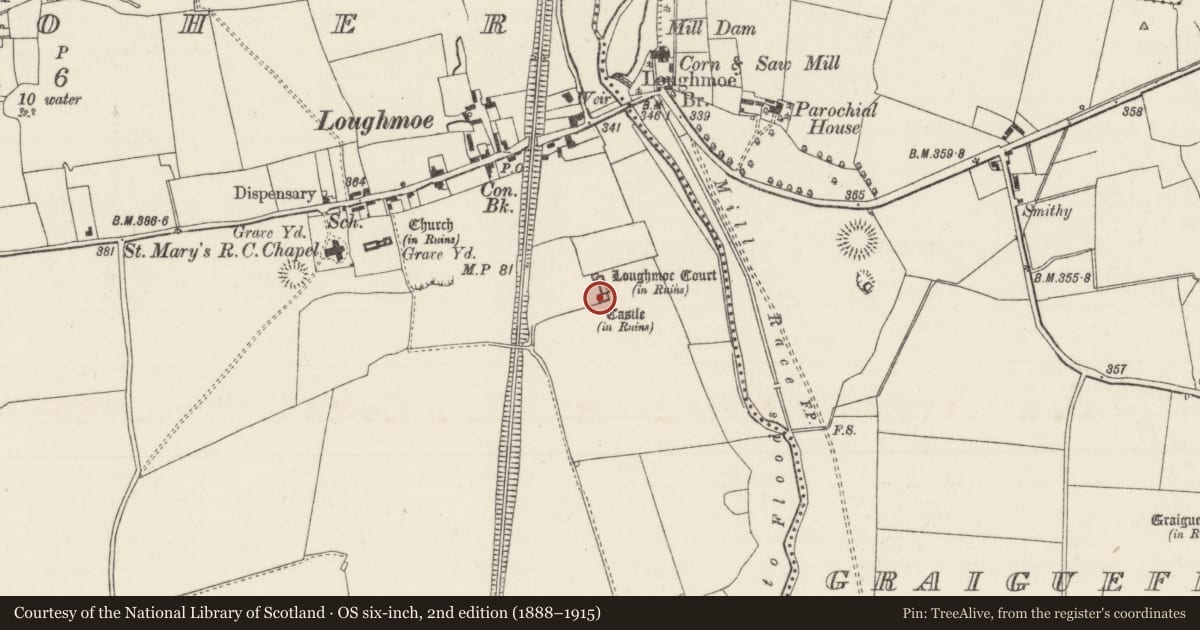 Ordnance Survey six-inch map, 2nd edition (1888–1915) covering the location of Castle - tower house, Tinvoher, County Tipperary North, with a pin at the register's coordinates