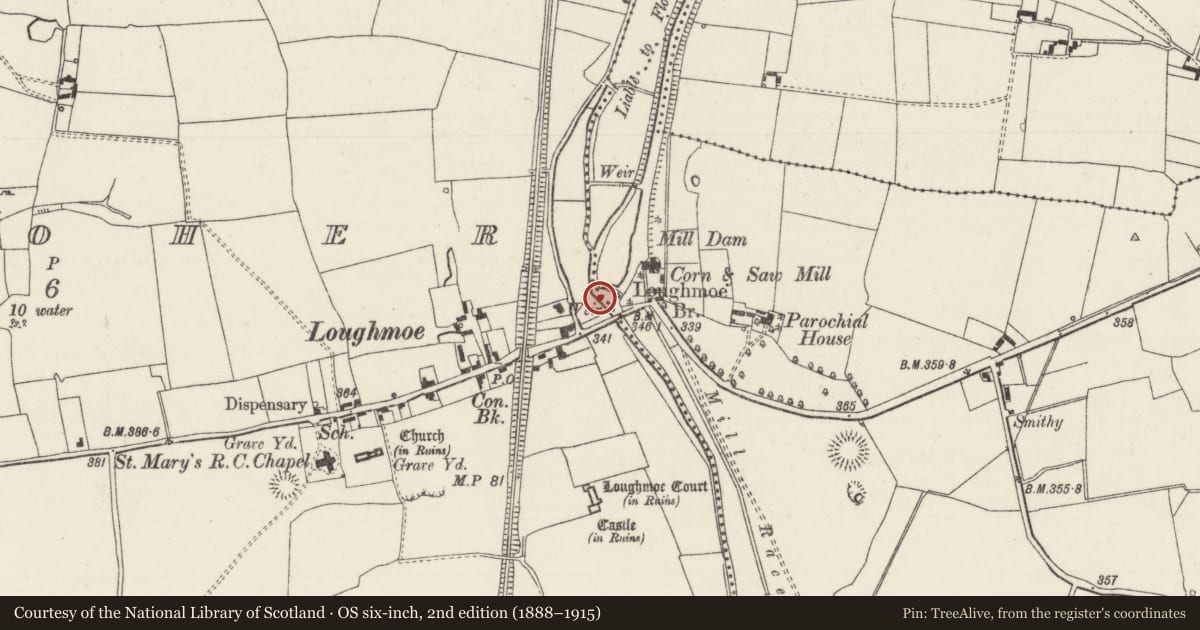 Ordnance Survey six-inch map, 2nd edition (1888–1915) covering the location of Weir - regulating, Tinvoher, County Tipperary North, with a pin at the register's coordinates