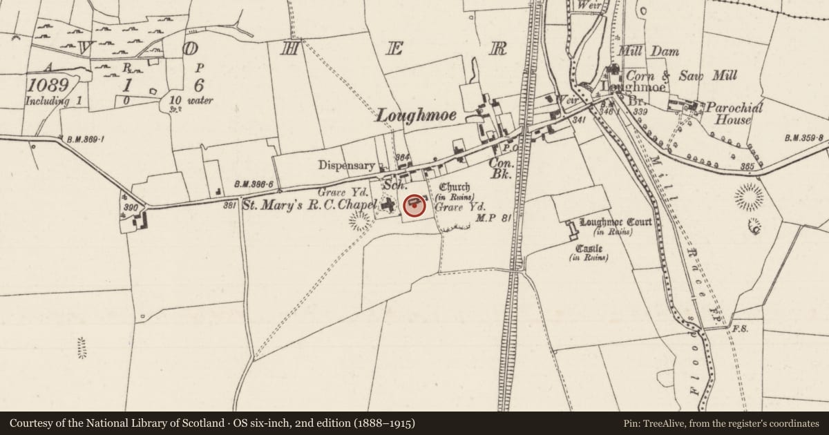 Ordnance Survey six-inch map, 2nd edition (1888–1915) covering the location of Graveslab, Tinvoher, County Tipperary North, with a pin at the register's coordinates