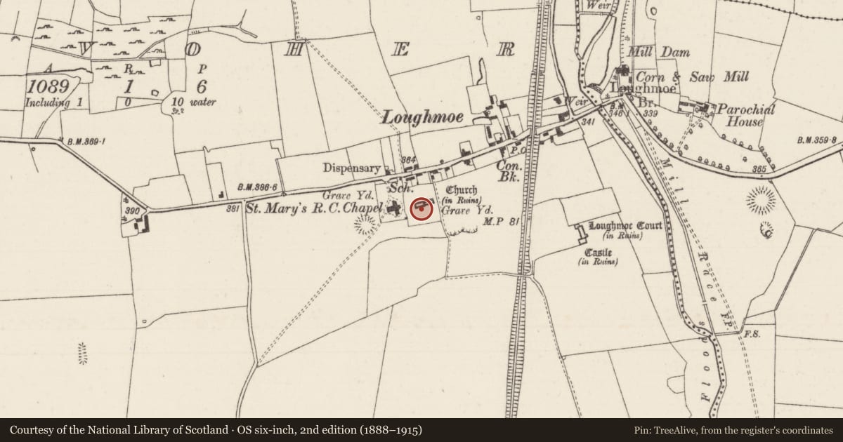 Ordnance Survey six-inch map, 2nd edition (1888–1915) covering the location of Graveslab, Tinvoher, County Tipperary North, with a pin at the register's coordinates