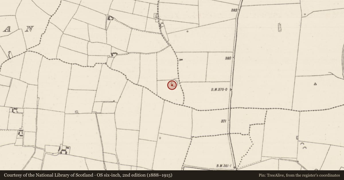 Ordnance Survey six-inch map, 2nd edition (1888–1915) covering the location of Ringfort - rath, Carrickloughmore, County Tipperary North, with a pin at the register's coordinates