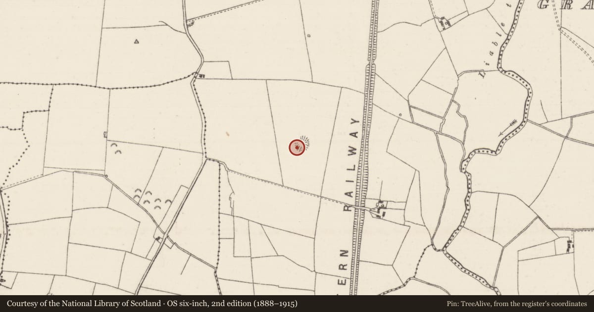 Ordnance Survey six-inch map, 2nd edition (1888–1915) covering the location of Enclosure, Tinvoher, County Tipperary North, with a pin at the register's coordinates