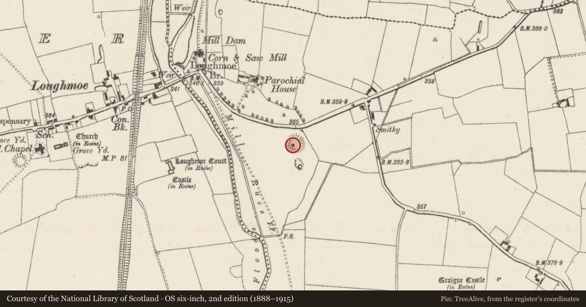 Ordnance Survey six-inch map, 2nd edition (1888–1915) covering the location of Ringfort - rath, Graiguefrahane, County Tipperary North, with a pin at the register's coordinates