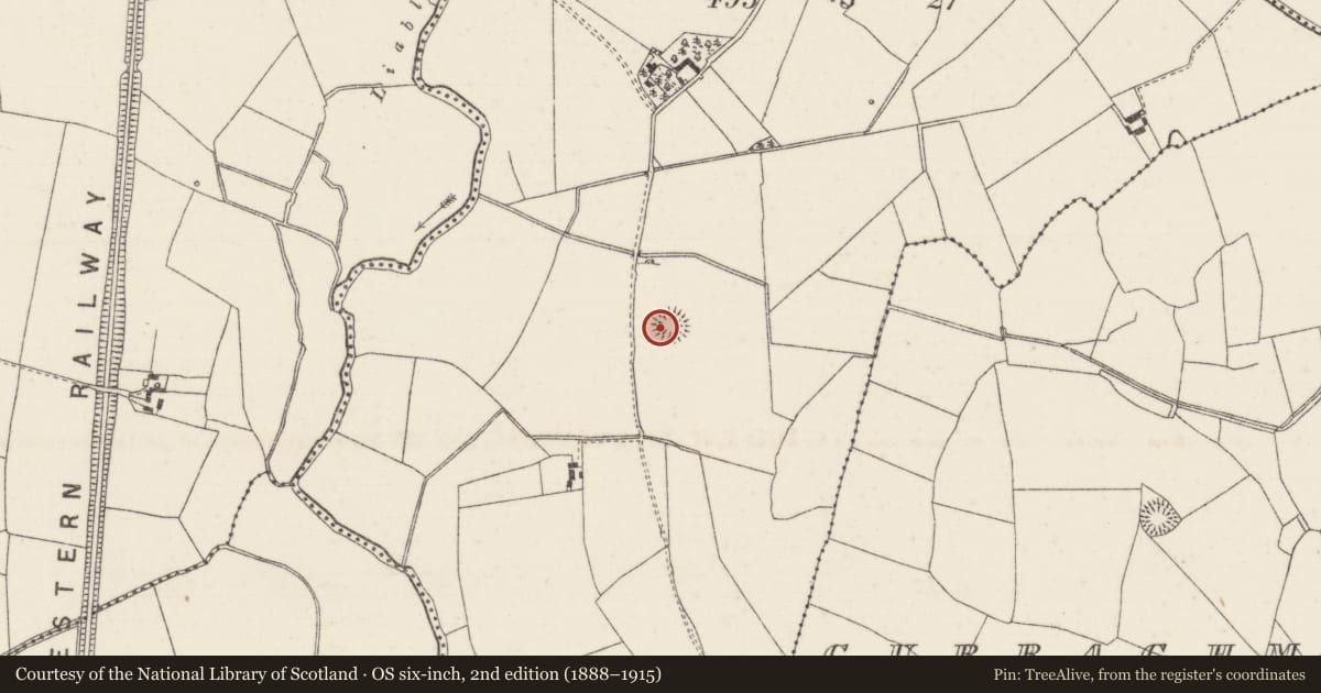 Ordnance Survey six-inch map, 2nd edition (1888–1915) covering the location of Ringfort - rath, Graiguefrahane, County Tipperary North, with a pin at the register's coordinates