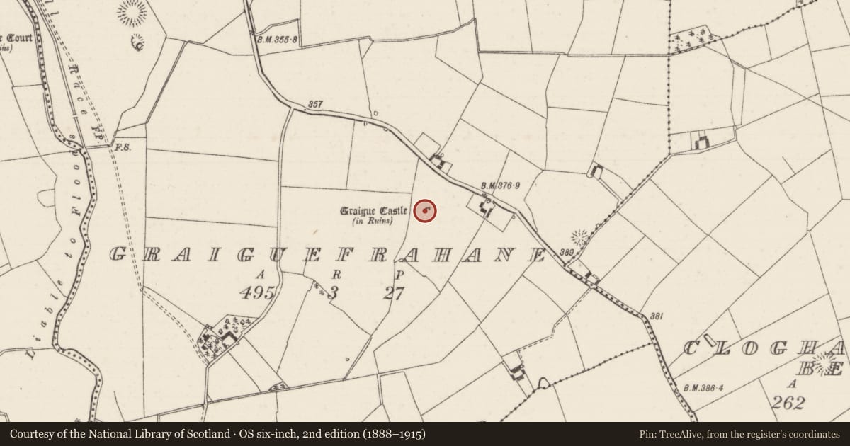 Ordnance Survey six-inch map, 2nd edition (1888–1915) covering the location of Castle - unclassified, Graiguefrahane, County Tipperary North, with a pin at the register's coordinates