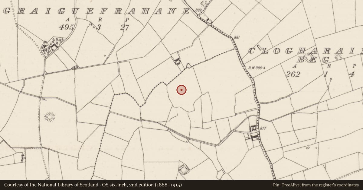 Ordnance Survey six-inch map, 2nd edition (1888–1915) covering the location of Enclosure, Curraghmore (Loughmoe East Par.), County Tipperary North, with a pin at the register's coordinates