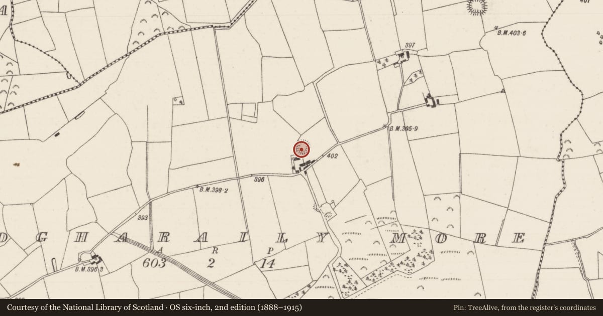 Ordnance Survey six-inch map, 2nd edition (1888–1915) covering the location of Enclosure, Clogharaily More, County Tipperary North, with a pin at the register's coordinates