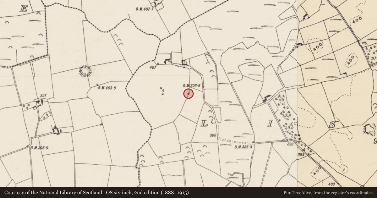 Ordnance Survey six-inch map, 2nd edition (1888–1915) covering the location of Enclosure, Lisheen (Moyne Par.), County Tipperary North, with a pin at the register's coordinates
