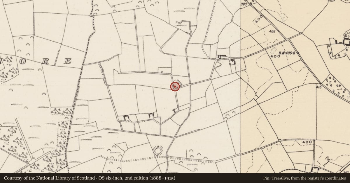 Ordnance Survey six-inch map, 2nd edition (1888–1915) covering the location of Enclosure, Lisheen (Moyne Par.), County Tipperary North, with a pin at the register's coordinates