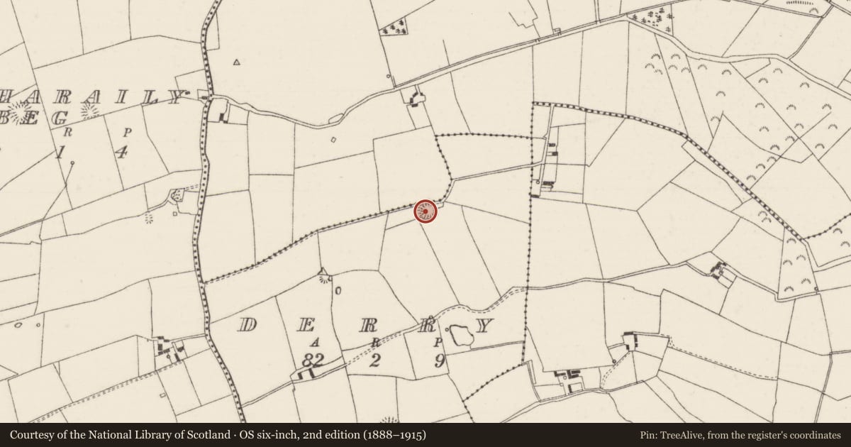 Ordnance Survey six-inch map, 2nd edition (1888–1915) covering the location of Enclosure, Clogharaily More, Derry (Loughmoe East Par.), County Tipperary North, with a pin at the register's coordinates