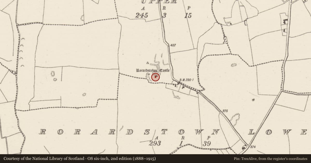 Ordnance Survey six-inch map, 2nd edition (1888–1915) covering the location of Castle - unclassified, Rorardstown Upper, County Tipperary North, with a pin at the register's coordinates