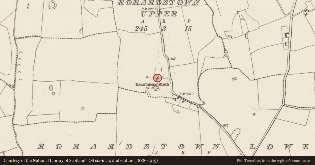 Ordnance Survey six-inch map, 2nd edition (1888–1915) covering the location of Earthwork, Rorardstown Upper, County Tipperary North, with a pin at the register's coordinates