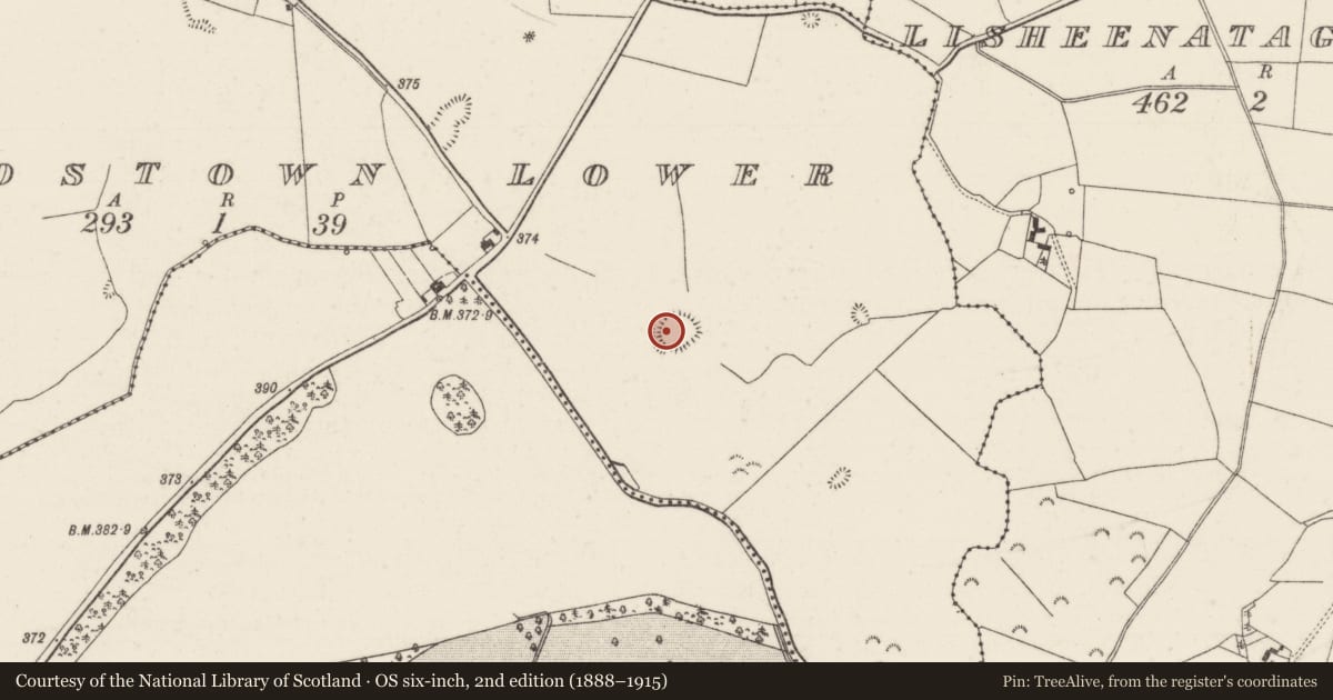 Ordnance Survey six-inch map, 2nd edition (1888–1915) covering the location of Ringfort - rath, Rorardstown Lower, County Tipperary North, with a pin at the register's coordinates