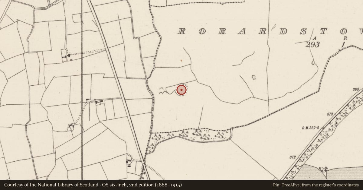 Ordnance Survey six-inch map, 2nd edition (1888–1915) covering the location of Ringfort - rath, Rorardstown Lower, County Tipperary North, with a pin at the register's coordinates