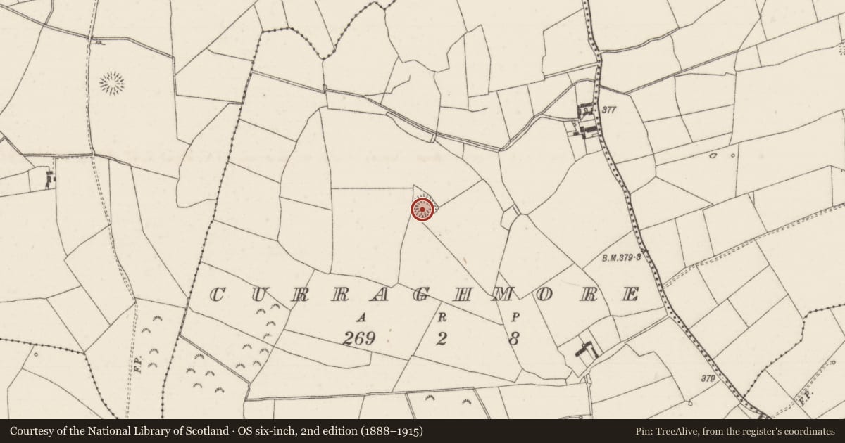 Ordnance Survey six-inch map, 2nd edition (1888–1915) covering the location of Ringfort - rath, Curraghmore (Loughmoe East Par.), County Tipperary North, with a pin at the register's coordinates