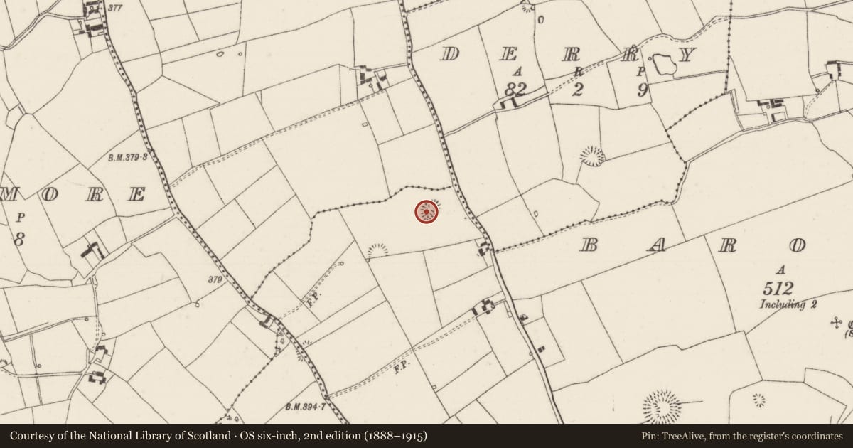 Ordnance Survey six-inch map, 2nd edition (1888–1915) covering the location of Enclosure, Baronstown, County Tipperary North, with a pin at the register's coordinates