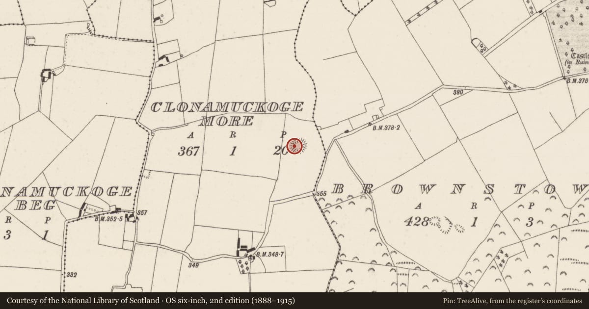 Ordnance Survey six-inch map, 2nd edition (1888–1915) covering the location of Enclosure, Clonamuckoge More, County Tipperary North, with a pin at the register's coordinates