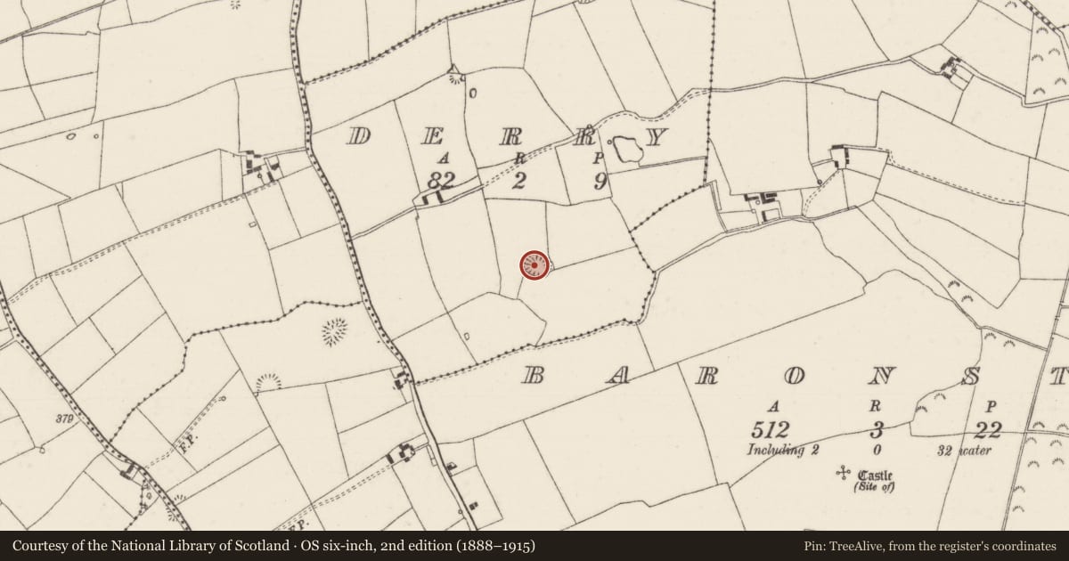 Ordnance Survey six-inch map, 2nd edition (1888–1915) covering the location of Ringfort - rath, Derry (Loughmoe East Par.), County Tipperary North, with a pin at the register's coordinates