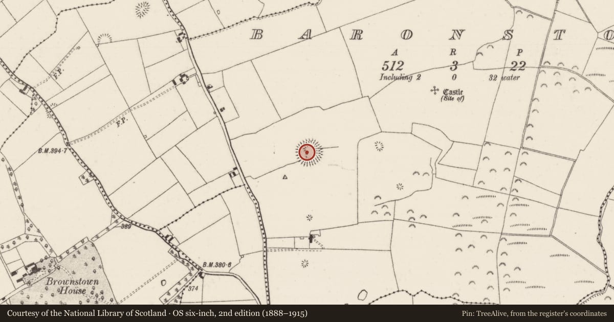 Ordnance Survey six-inch map, 2nd edition (1888–1915) covering the location of Enclosure, Baronstown, County Tipperary North, with a pin at the register's coordinates