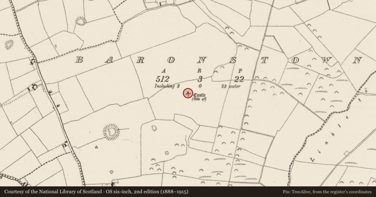 Ordnance Survey six-inch map, 2nd edition (1888–1915) covering the location of Castle - unclassified, Baronstown, County Tipperary North, with a pin at the register's coordinates