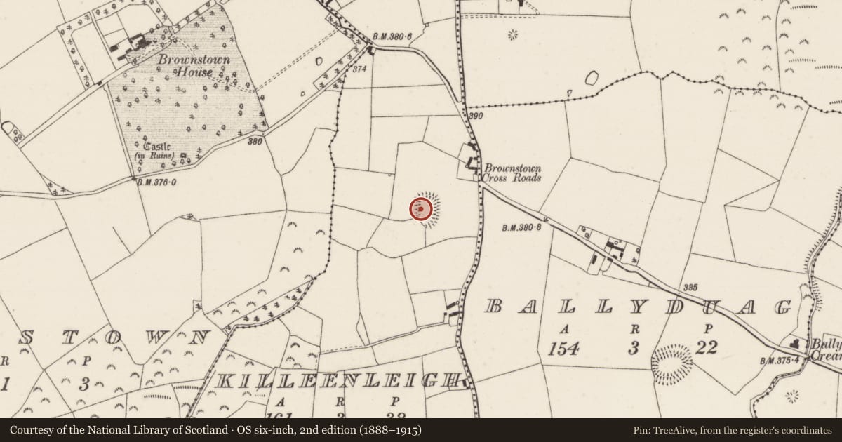 Ordnance Survey six-inch map, 2nd edition (1888–1915) covering the location of Ringfort - rath, Killeenleigh, County Tipperary North, with a pin at the register's coordinates