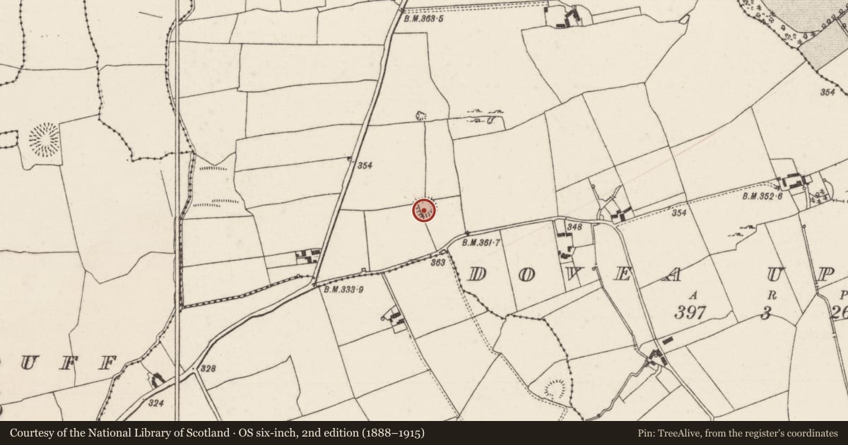 Ordnance Survey six-inch map, 2nd edition (1888–1915) covering the location of Ringfort - rath, Dovea Upper, County Tipperary North, with a pin at the register's coordinates