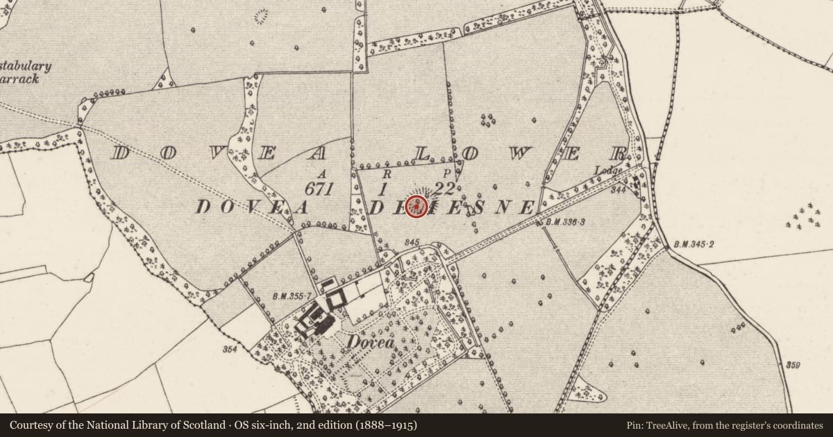 Ordnance Survey six-inch map, 2nd edition (1888–1915) covering the location of Enclosure, Dovea Lower, County Tipperary North, with a pin at the register's coordinates