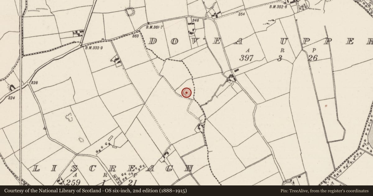 Ordnance Survey six-inch map, 2nd edition (1888–1915) covering the location of Enclosure, Liscreagh, County Tipperary North, with a pin at the register's coordinates