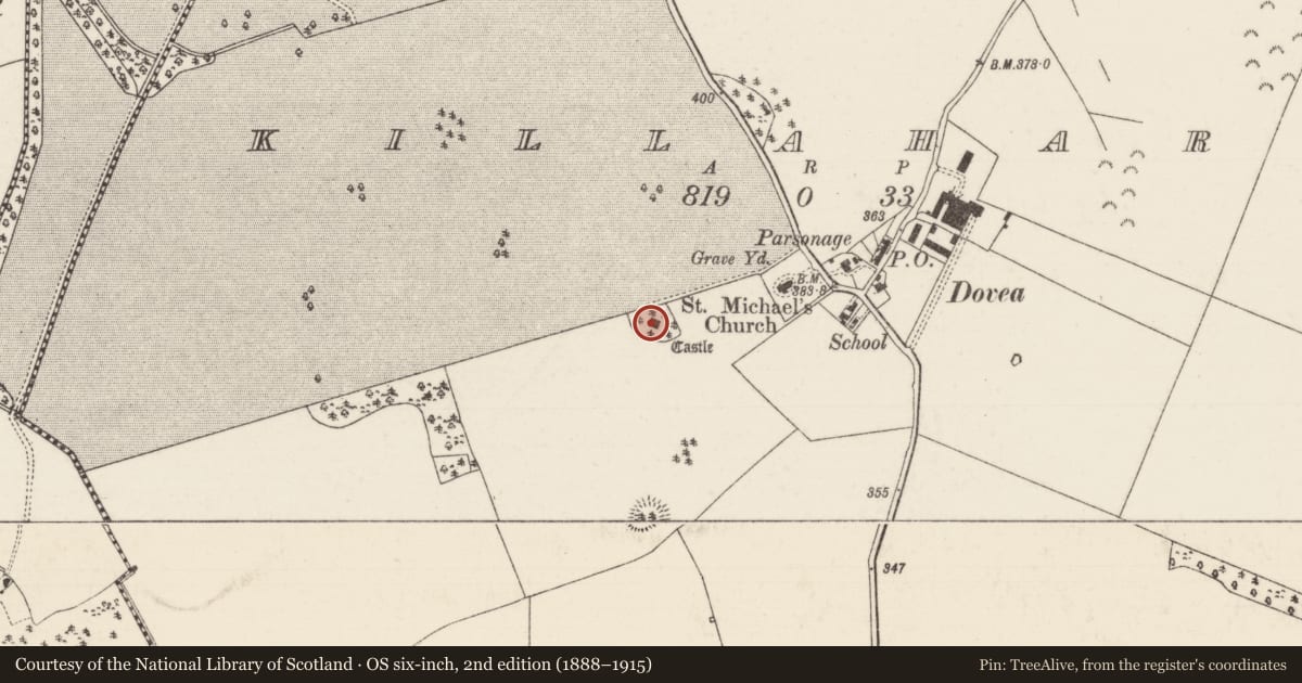 Ordnance Survey six-inch map, 2nd edition (1888–1915) covering the location of Castle - tower house, Killahara, County Tipperary North, with a pin at the register's coordinates
