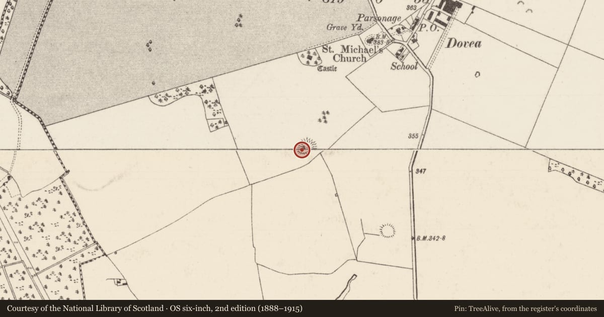 Ordnance Survey six-inch map, 2nd edition (1888–1915) covering the location of Ringfort - rath, Killahara, County Tipperary North, with a pin at the register's coordinates