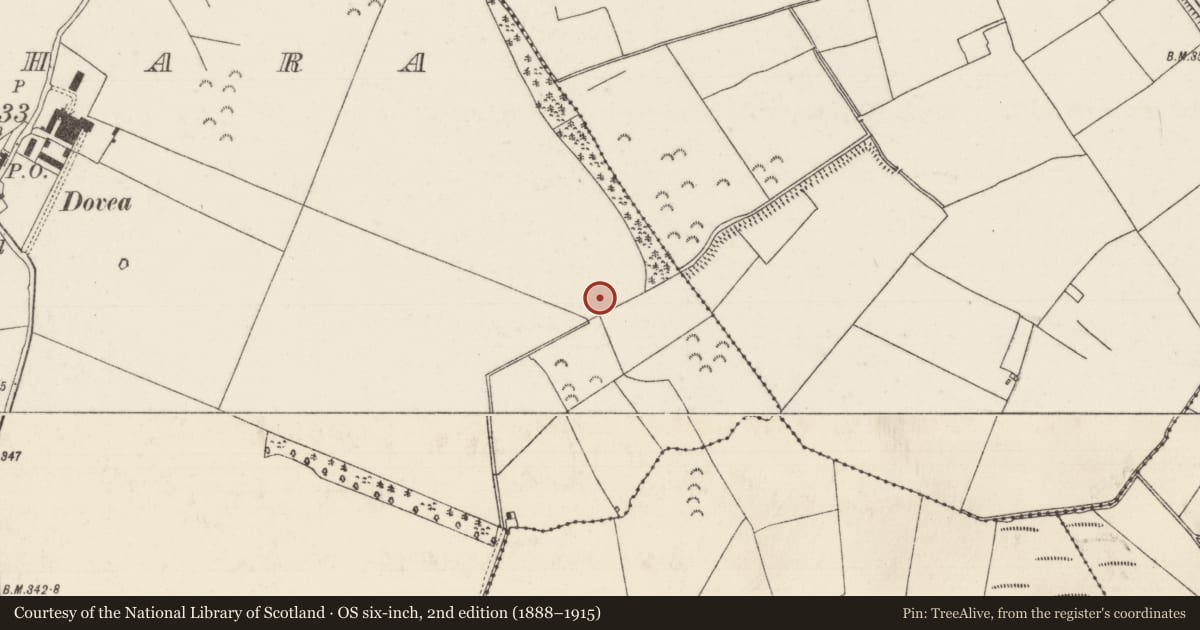 Ordnance Survey six-inch map, 2nd edition (1888–1915) covering the location of Earthwork, Killahara, County Tipperary North, with a pin at the register's coordinates