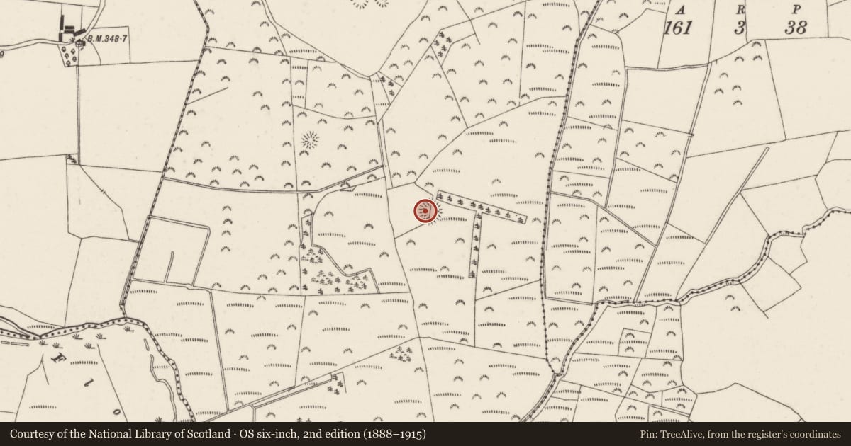 Ordnance Survey six-inch map, 2nd edition (1888–1915) covering the location of Ringfort - rath, Brownstown, County Tipperary North, with a pin at the register's coordinates