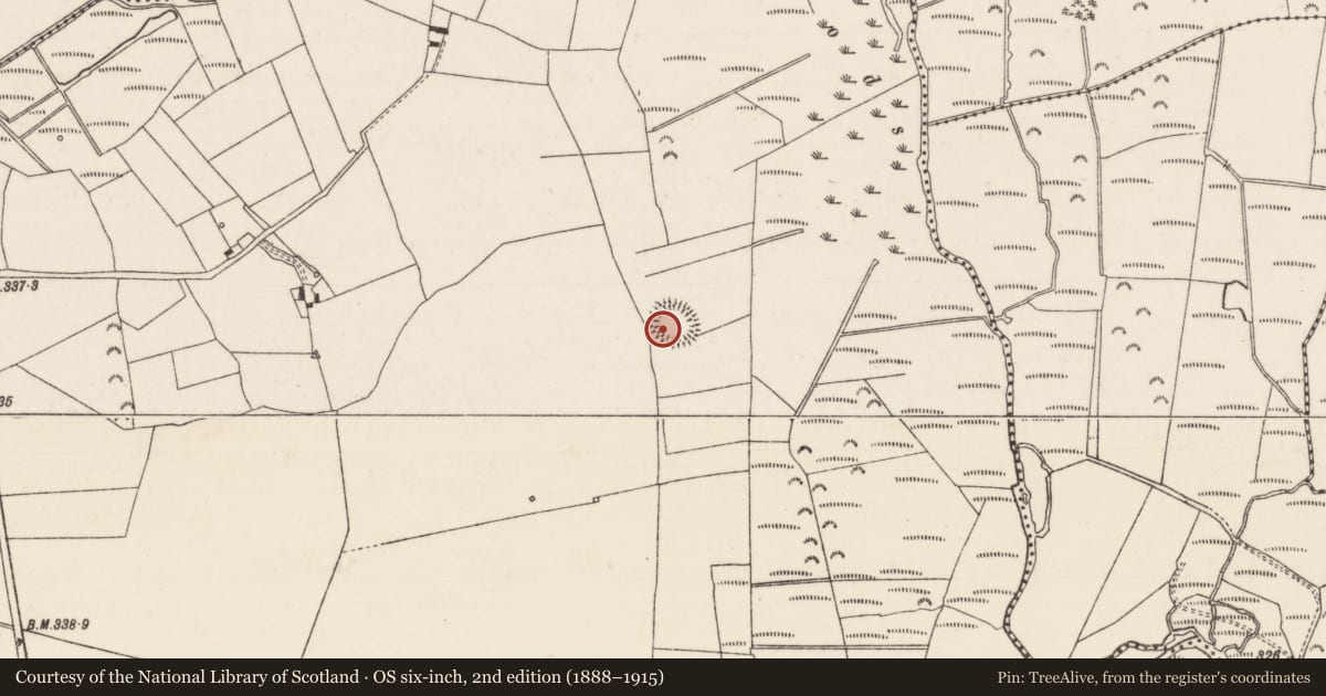 Ordnance Survey six-inch map, 2nd edition (1888–1915) covering the location of Ringfort - rath, Brittas (Thurles Par.), County Tipperary North, with a pin at the register's coordinates