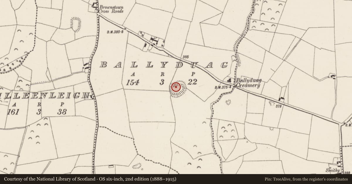 Ordnance Survey six-inch map, 2nd edition (1888–1915) covering the location of Ringfort - rath, Ballyduag, County Tipperary North, with a pin at the register's coordinates