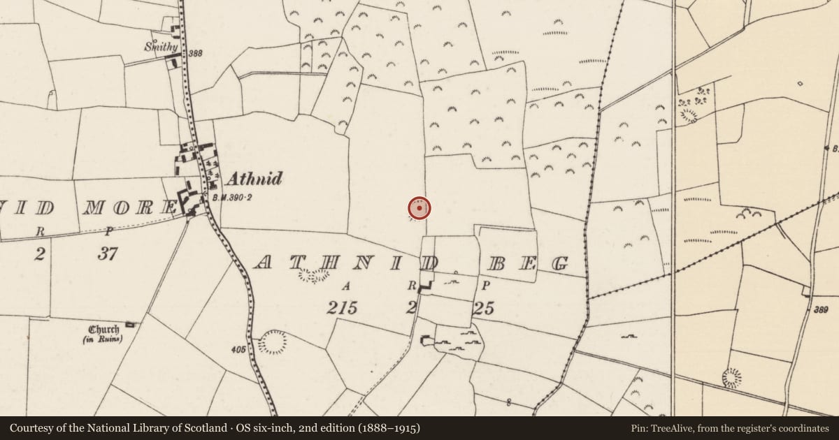 Ordnance Survey six-inch map, 2nd edition (1888–1915) covering the location of Enclosure, Athnid Beg, County Tipperary North, with a pin at the register's coordinates