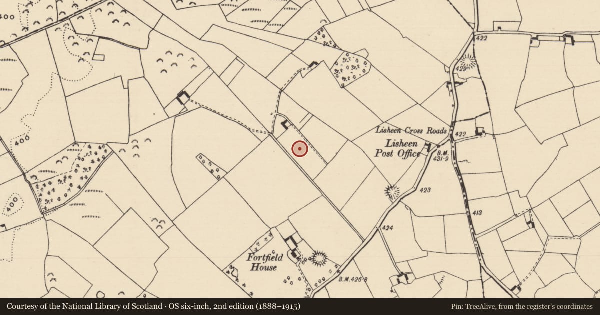 Ordnance Survey six-inch map, 2nd edition (1888–1915) covering the location of Earthwork, Lisheen (Moyne Par.), County Tipperary North, with a pin at the register's coordinates