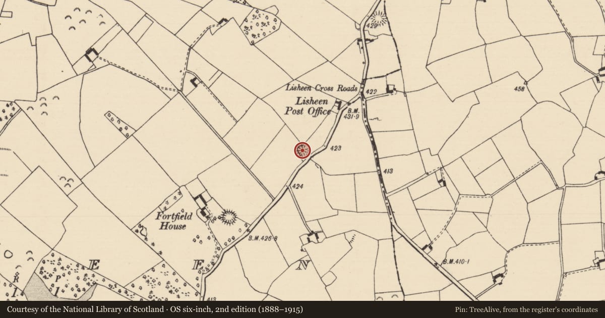 Ordnance Survey six-inch map, 2nd edition (1888–1915) covering the location of Ringfort - rath, Lisheen (Moyne Par.), County Tipperary North, with a pin at the register's coordinates