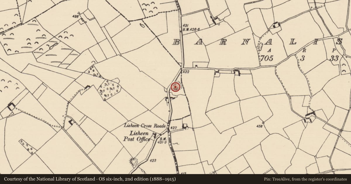 Ordnance Survey six-inch map, 2nd edition (1888–1915) covering the location of Ringfort - rath, Barnalisheen, Lisheen (Moyne Par.), County Tipperary North, with a pin at the register's coordinates