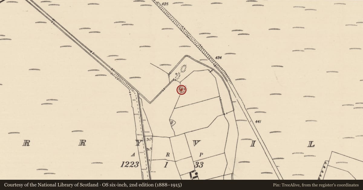 Ordnance Survey six-inch map, 2nd edition (1888–1915) covering the location of Earthwork, Derryville, County Tipperary North, with a pin at the register's coordinates