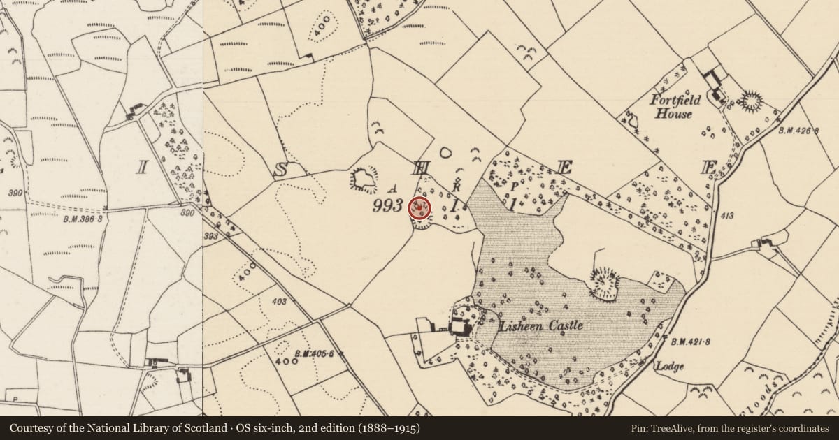 Ordnance Survey six-inch map, 2nd edition (1888–1915) covering the location of Enclosure, Lisheen (Moyne Par.), County Tipperary North, with a pin at the register's coordinates