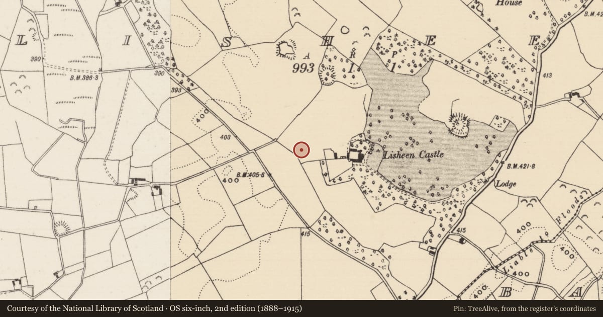 Ordnance Survey six-inch map, 2nd edition (1888–1915) covering the location of Castle - unclassified, Lisheen (Moyne Par.), County Tipperary North, with a pin at the register's coordinates