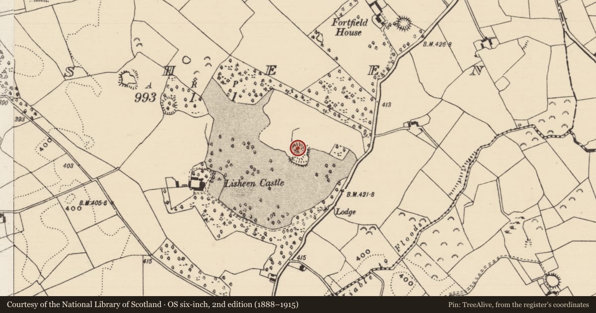 Ordnance Survey six-inch map, 2nd edition (1888–1915) covering the location of Enclosure, Lisheen (Moyne Par.), County Tipperary North, with a pin at the register's coordinates