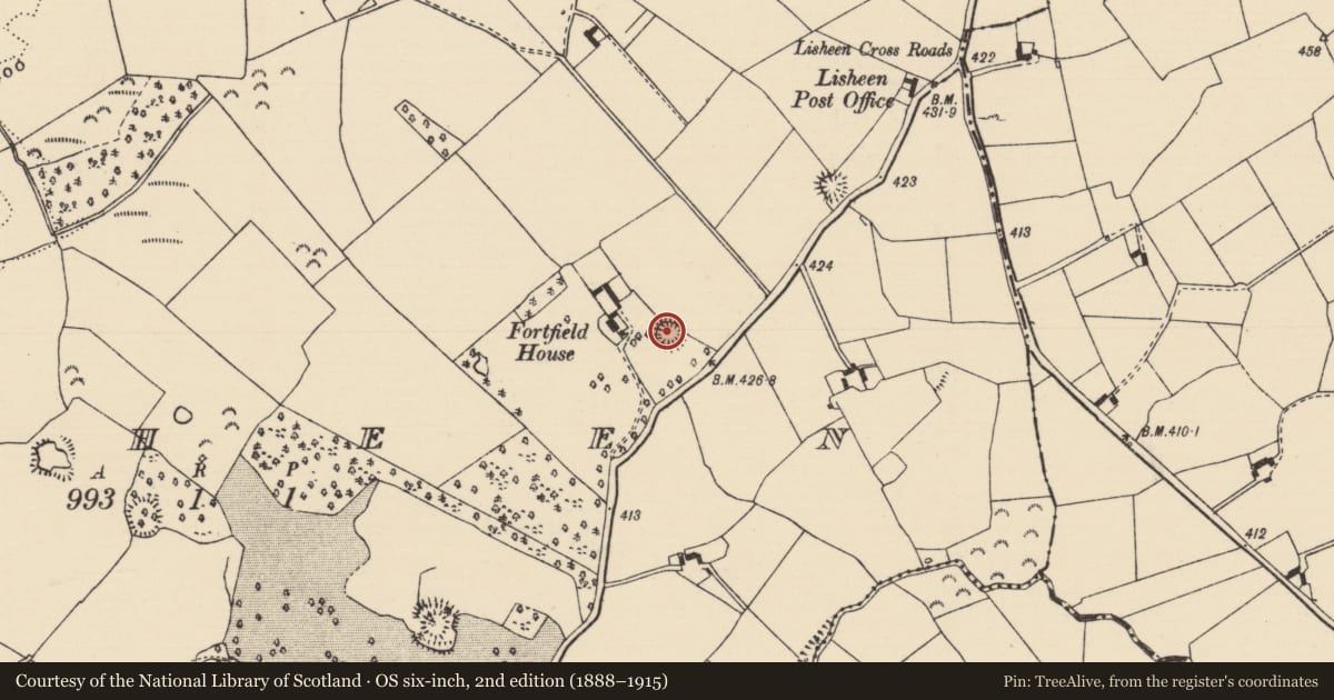 Ordnance Survey six-inch map, 2nd edition (1888–1915) covering the location of Ringfort - rath, Lisheen (Moyne Par.), County Tipperary North, with a pin at the register's coordinates