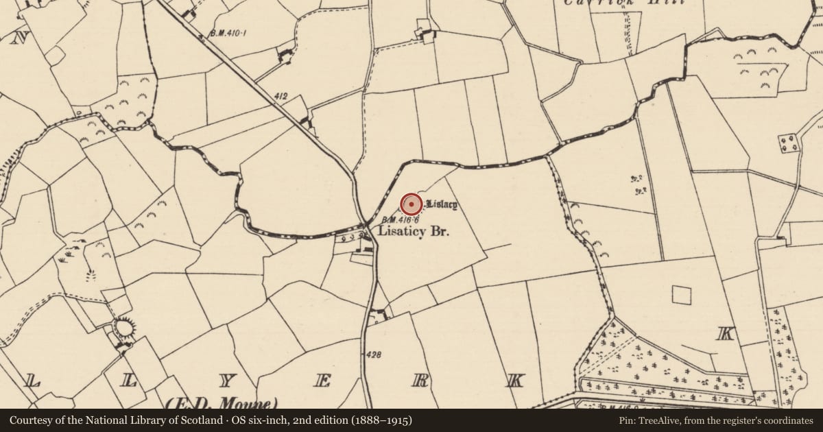 Ordnance Survey six-inch map, 2nd edition (1888–1915) covering the location of Ringfort - rath, Ballyerk (Moyne Par.), County Tipperary North, with a pin at the register's coordinates