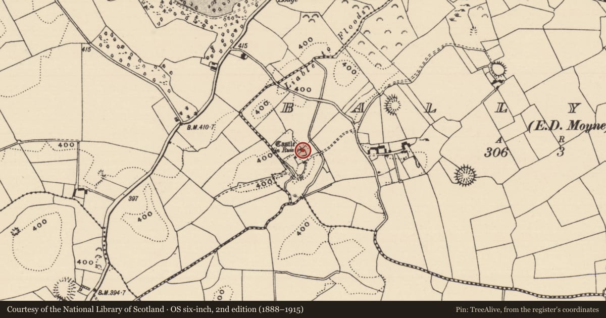 Ordnance Survey six-inch map, 2nd edition (1888–1915) covering the location of Castle - tower house, Ballyerk (Moyne Par.), County Tipperary North, with a pin at the register's coordinates