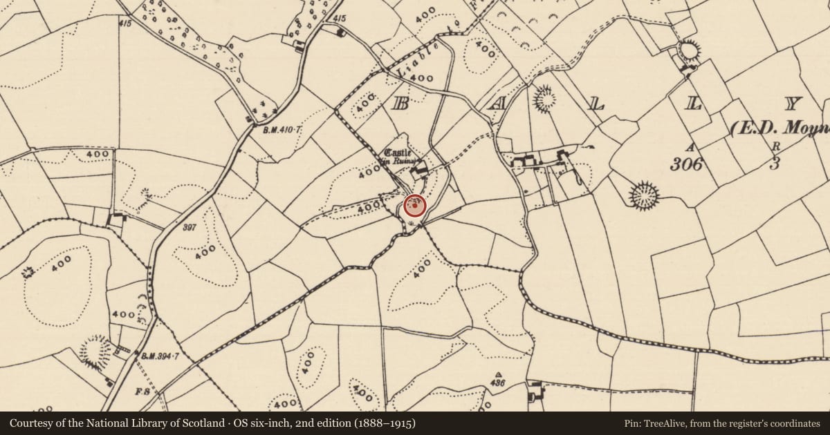 Ordnance Survey six-inch map, 2nd edition (1888–1915) covering the location of Water mill - unclassified, Ballyerk (Moyne Par.), County Tipperary North, with a pin at the register's coordinates