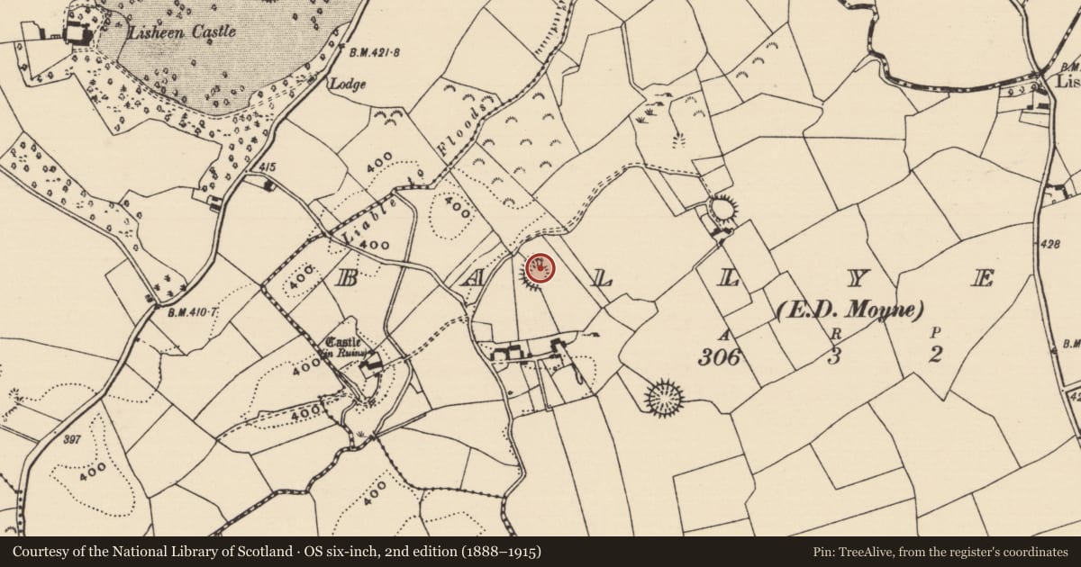 Ordnance Survey six-inch map, 2nd edition (1888–1915) covering the location of Ringfort - rath, Ballyerk (Moyne Par.), County Tipperary North, with a pin at the register's coordinates